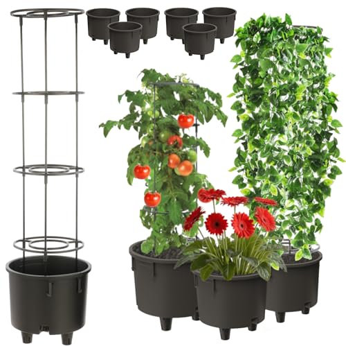 Topfeinsatz 6 Stck Einsatz Blumenstütze Ø28,5cm mit Abnehmbarer Rahmen für Kletterpflanzen Modular für Tomaten Bohnen Erbsen Kunststoff Garten Wohnung Gewächshaus Balkon Terrasse Orangerie Gesteck