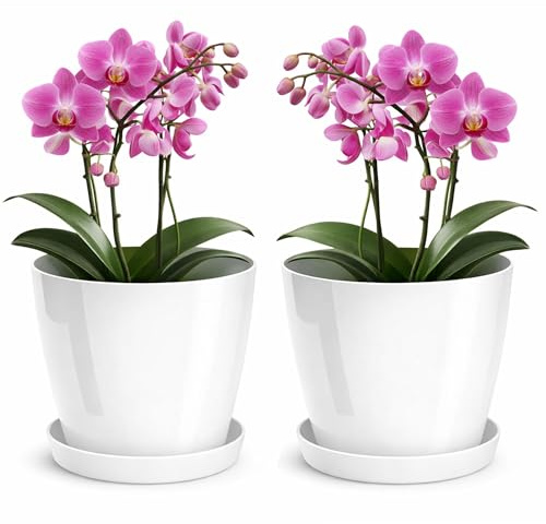 PECZEKO Maceta brillante, maceta de plástico, maceta decorativa para plantas grandes y pequeñas, juego de 2 macetas con plato, maceta para hierbas, color blanco, diámetro 20 cm