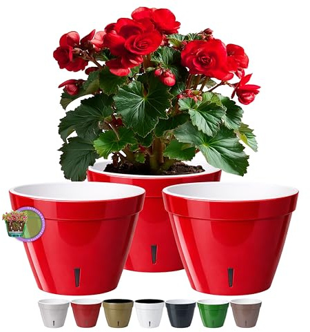 Santino ASTI Uppsättning om 3 30 cm självvattnande blomkruka med vattennivåindikator för växter, blommor och örter ( 30 cm, H 23 cm, 12 l - röd pärla/vit)