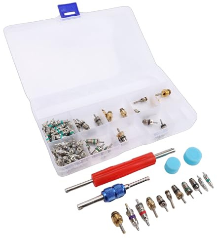 ZDETGU Kit de 104 Pièces pour Obus de Valve de Climatisation Automobile, Comprenant Un Outil de Démontage et des Capuchons Anti-poussière. Idéal pour L'entretien de la Climatisation