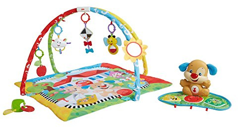 Mattel Fisher-Price FBD45 Lernspaß Hündchens Spieldecke, mehrfarbig