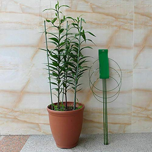 Sxspace Set of 5 Conical Garden Plant Support Rings (75cm)