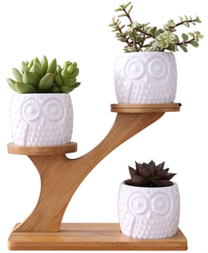 Joygoodta 3 macetas de búho con Soporte de platillos de bambú de 3 Niveles, Maceta de cerámica para Flores, Mini Maceta de Cactus para decoración de Escritorio en el hogar y la Oficina