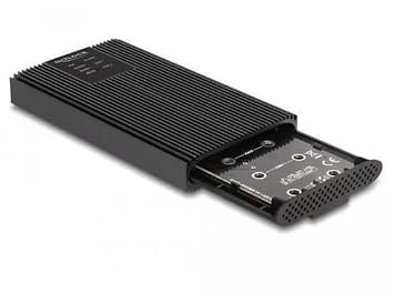 Delock Externes Gehäuse USB 20 Gbps für 2 x M.2 NVMe PCIe SSD mit Type-C Buchse und