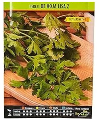 Semillas Horticolas - Perejil hoja lisa 2 - Semillas listas para plantar.