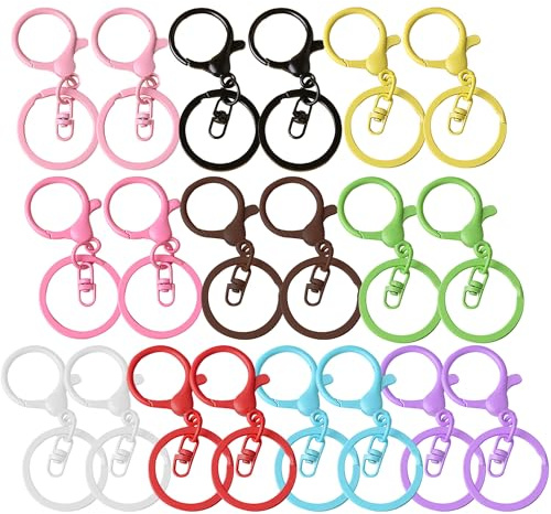 Hayaww 20 Stück 10 Farben Schlüsselringe,Schlüsselring Schnalle,Karabiner Schlüsselanhänger Basteln Set,Mini Karabiner Runde Karabiner Schlüsselanhänger für Schlüsselanhänger Schmuck DIY Handwerk (A)