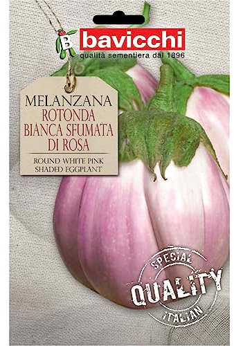 Bavicchi VME02 Busta semi Melanzana rotonda bianca sfumata di rosa