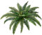 CQURE 27 Fake Fern Artificial Ferns for Outdoors,20 Branches Realistic Artificial Boston Ferns Bush Plant for Indoor Outdoor Garden Porch Decor (Lifelike,UV Resistant,No Maintenance)