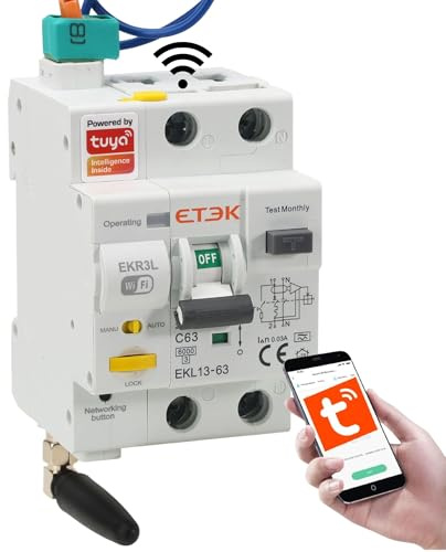 Diferencial Magnetotérmico Rearmable WiFi 63A 30mA Tipo A 2P - RCBO | Incluye cables, Superinmunizado, Control remoto por WiFi, rearme automático, protección diferencial y magnetotérmica