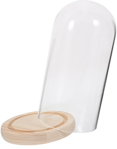 SHINEOFI CúPula De Cristal Transparente Con Base De Madera 7.48X4.33X4.33In Campana De Vidrio Para ExhibicióN De Rosa Preservada DecoracióN Para Hogar Y Oficina Día De San ValentíN