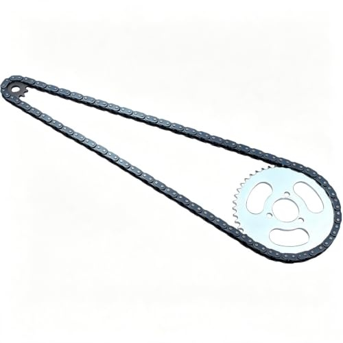 WGFOIP Kit de Piñón y Cadena T8F, Piñón Delantero de 13 Dientes y Trasero de 44 Dientes, Cadena de Transmisión de 116 Eslabones de Acero para ATV, Minimotos Motocicletas.