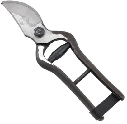 Toddmomy Astschere für den Garten Gartenscheren aus Edelstahl Schere zum Basteln garten handschere professionelle Astschere praktische Astschere Haupt Schnittmaschine Blumenschere Werkzeug