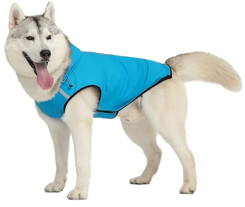 LIXSAZSE Hund stilvoll und trocken mit wasserdichtem Hunderegenmantel, verstellbarem Kapuzenponcho, einfach anzuziehen. In der Größe Premium erhältlich, Blau, L