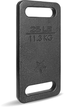 Yes4All U7TV Cast Iron Rucking Weight Plate for Backpack, 11,3 KG | 25 POUND, Black