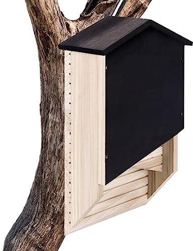 Fulenyi Maison de chauves-souris en bois - Abri en bois pour colonie de chauves-souris, maison de boîte à chauve-souris réutilisable décoration en bois pour hibernation, chauve-souris en bois pour