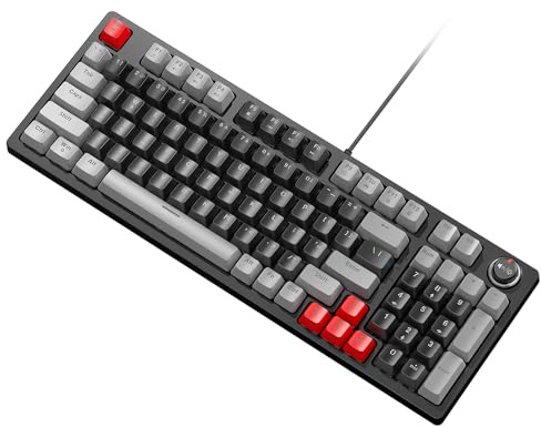 YIWEOG T50 Tastiera meccanica 96+1 tasti Tastiera da gioco cablata ABS di alta qualità Stampaggio a doppio colore Copritasto Interruttori blu Design compatto Varie retroilluminazione RGB 12 modalità