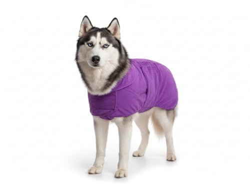 Hundebademantel, XXL, 400 g/m², Mikrofaser, doppellagig, Hundehandtücher zum Trocknen von Hunden, schnell trocknend, sehr saugfähig, Klettverschluss-Design, Violett, XXL