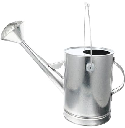 POPETPOP Arrosoir en Fer Galvanisé 5l pour Arrosage Intérieur Et Extérieur, Grand Modèle Vintage Long Bec Verseur, Poignée Ergonomique, Outil Jardinage Stable Et Solide