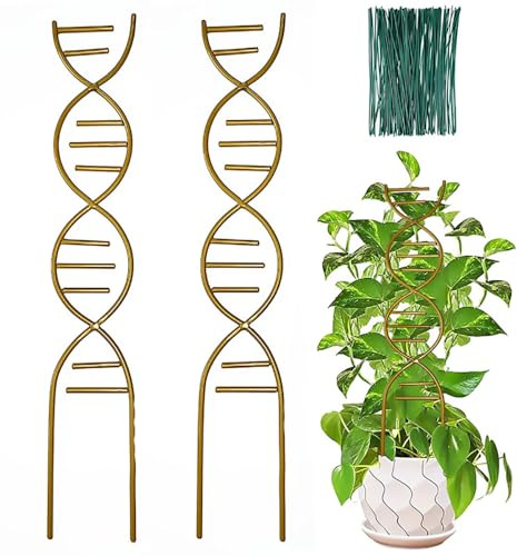 Paquete de 2 enrejados para plantas trepadoras, enrejado pequeño de jardín de 16 pulgadas para plantas en maceta, enrejado interior para plantas trepadoras, accesorios