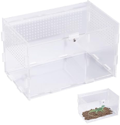 Caja de Reptiles Acrílica 20 X 12 X 12 cm, Diseño Anti-Escape, Caja de Alimentación de Insectos Transparente, Portátil Acrílico Transparente Terrarios para Spide, Mantis Religiosa, Lagarto, Caracol