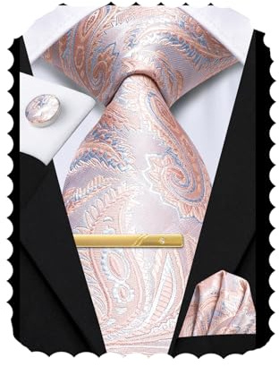 Hi-Tie Silk Mens Ties Set Solid Paisley Stripe Ties for Men Necktie and Clip Pin Pocket Square Cufflinks for Wedding