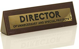 Boxerpresenter 'Director of Unnecessary Projects' nyhet träskrivbord varningsskylt rolig kontor humor gåva till kollega eller chef 4,5 cm x 17,5 cm
