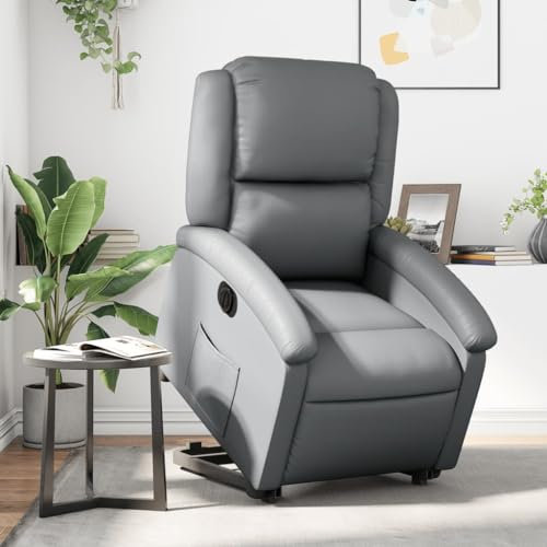 IKAYAA Fernsehsessel mit Aufstehhilfe Elektrisch Verstellbar Sessel Wohnzimmer Aufstehsessel Relaxsessel mit Liegefunktion Elektrischer Liegesessel Relaxliege Schlafzimmer Lesesessel Bequem