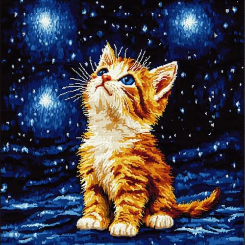 ASONGLINGO Kit Point Noué Coussin, Animaux, chats et ciel étoilé Crochet de Verrouillage Kits de Coussins avec Crochet, Tapis Point Noué à Faire, Coussin au Point Noué 43x43cm