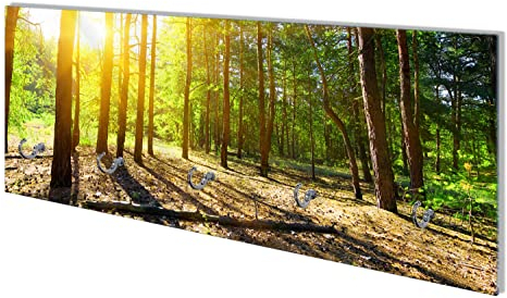 Wallario Wandgarderobe aus Glas in Größe 80 x 30 cm mit Memoboard-Funktion, Motiv: Sonnenstrahlen tief hinter dem Wald | 5 Kleiderhaken zum Aufhängen von Jacken