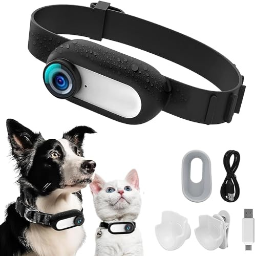 ehomful HD 1080P Katzen-Kamera-Halsband mit Videoaufzeichnung, kabellose Mini-Sportkamera, kleine Action-Kameras, Körperkamera für Haustierbedarf, Outdoor/Inoor, Geburtstagsgeschenk, kein WLAN