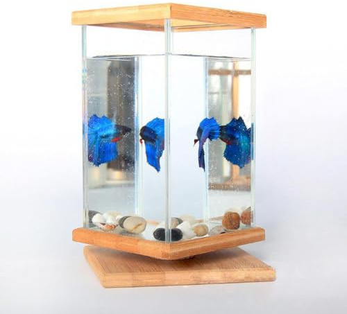 Betta Fischtank, transparentes Desktop-Aquarium, 360° drehbar, dekoratives Fischglas mit hellem Deckel, transparent, rechteckig, Heimdekoration, Fischschale