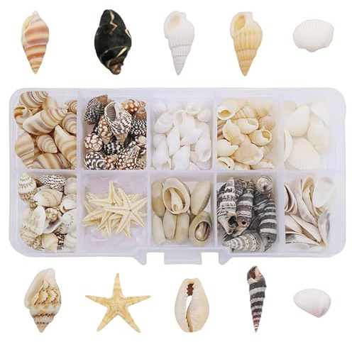LUMOOM 220 conchas para manualidades, decoración de conchas naturales, conchas para manualidades, caracoles marinos y estrellas de mar para decoración de playa, manualidades, rellenos de jarrones