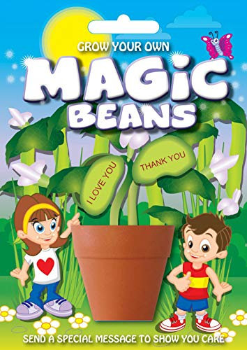 Fun Seeds | Grow Your Own Magic Beans - Thank You