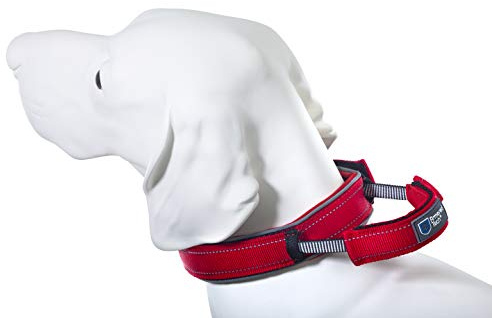 Armored Tech Dog Control Halsband mit integrierter Kurzleine (S - Halsumfang 33-38 cm, rot)