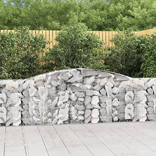 Festnight Cesti Gabbioni ad Arco, Gabbioni Metallici per Pietre, Gabbioni Metallici, Gabbione per Sassi, 8 pz 400x30x80/100 cm Ferro Zincato