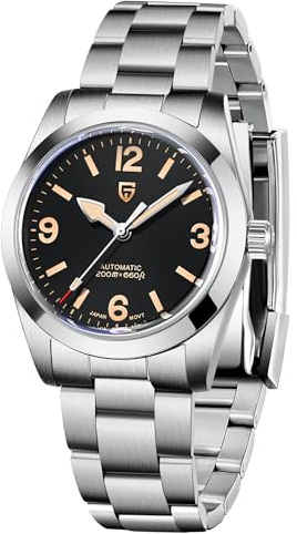 Pagani Design Automatikuhren für Herren mit Lederarmband, Edelstahl Herren Saphirglas Armbanduhr, NH35A Uhrwerk, DD36 (Silber)
