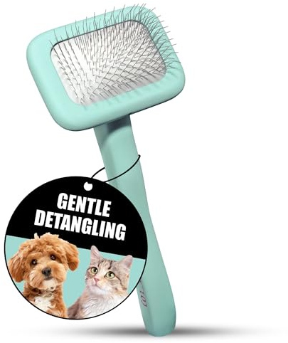 TAURO PROLINE – borste rektangulär S | Högkvalitativ borste för hundar och katter med mjuk, flexibel kudde och ergonomisk design. | Innehåll: 1 x pälsborste i mynta, mått: rektangulär, 7 x 16 cm