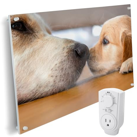 EconoHome Wall Mount Space Heater Panel - with Thermostat - 600 Watt Convection Heater - Ideal for 200 Sq Ft Room - 120V Electric Heater