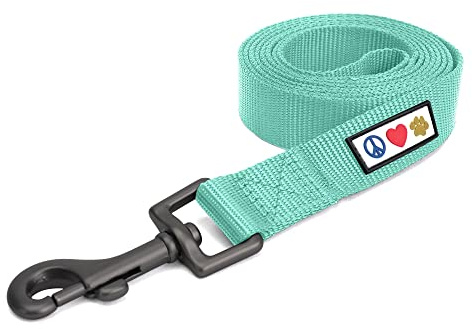Pawtitas Solid 6 ft Teal Dog Leash XS/S Custom Name and Phone Embroidery Strong Nylon Leash for Small Breeds