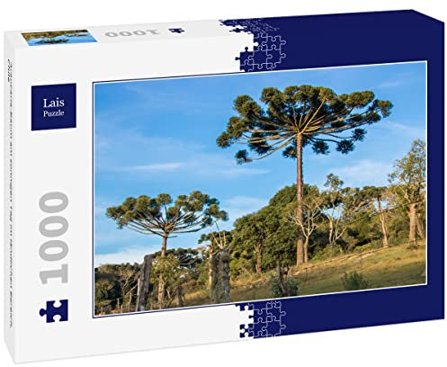 Lais Puzzle Albero di Araucaria in Una Giornata di Sole in Una Zona Rurale, Cile 1000 Pezzi