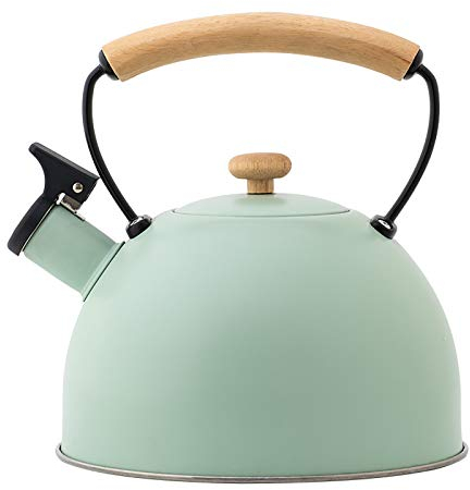 YZJSSL 2,5L Flötenkessel aus Edelstahl, Edelstahl Teekessel Induktion, Flötenkessel Edelstahl Wasserkocher mit hitzebeständigem Griff, grün