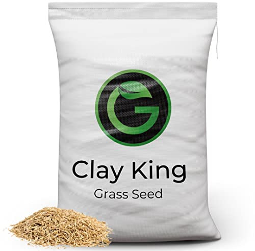 Clay King - Grass Seed for Clay Soil UK - Deep Rooting for Overseeding and New Lawns