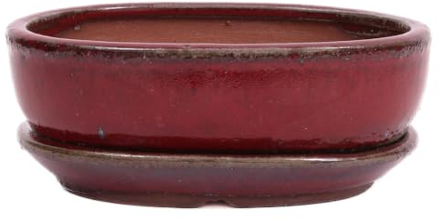 Bonsai - Schale oval 16 x 12 x 5 cm, Bordeaux, mit Untersetzer 23177