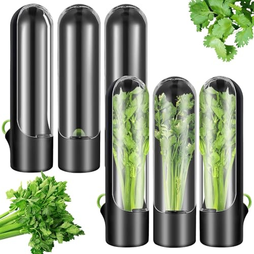 YFNVH 6er Set Kräuterbehälter für Kühlschranktür – Hält Koriander, Minze & Spargel 3x länger frisch – Premium Kräuterbox & Spargeltopf mit Wassertank von Koriander, Petersilie (BPA-frei, 24,5cm Höhe)