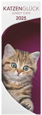 Alpha Edition - Katzenglück 2025 Streifenkalender, 15x42cm, Familienkalender mit einer Spalten für Termine, 100-jähriger Kalender, Pollenflugkalender, Ferientermine DE/AT/CH und deutsches Kalendarium