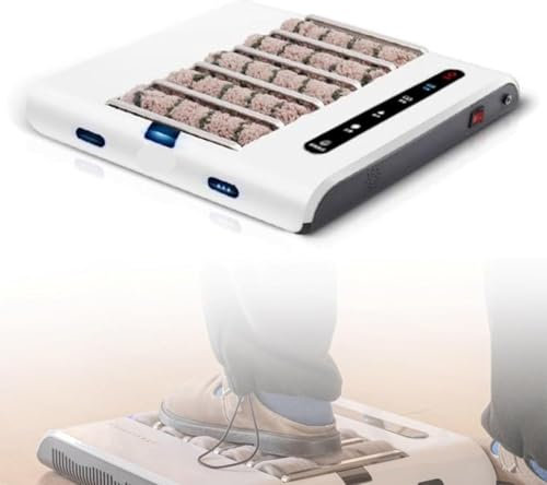 Cireuse à Chaussures à Induction Automatique, Rechargeable, 260 TR/Min, 20 Cycles/s, silencieuse, Facile à Nettoyer, pour Maison, hôtel, Hall d'entrée, Centre de Vente