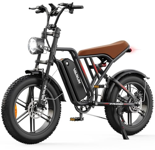 VARUN Bici Elettrica per Adulti, 20'' x 4.0 Fat Tire Bicicletta Elettrica Uomo, Batteria Rimovibile 48V 624Wh, Autonomia 100km, Display LCD Aggiornato, 7 Velocità MTB Elettrica, EBike per All-Terrain