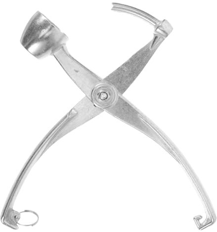 Alipis Snocciola Olive in Metallo Argento, Leggero e Resistente all'Usura, per Ciliegie e Datteri, Utensile Compatto da Cucina per Uso Quotidiano