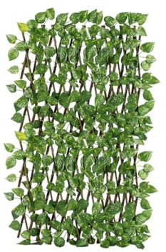 CapitanCasa Treillis Feuilles Escalade Extensible Brise Vue Terrasse Jardin Potos