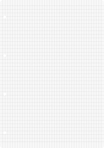 Brunnen 1026367645 10X Ringbucheinlage A4 raut 50Bl